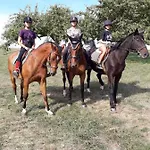 D'hotes Du Schneeberg Nocleg ze śniadaniem Alteckendorf