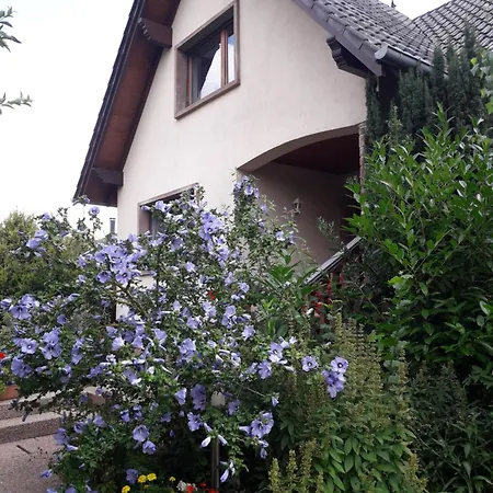 D'hotes Du Schneeberg Bed & Breakfast *