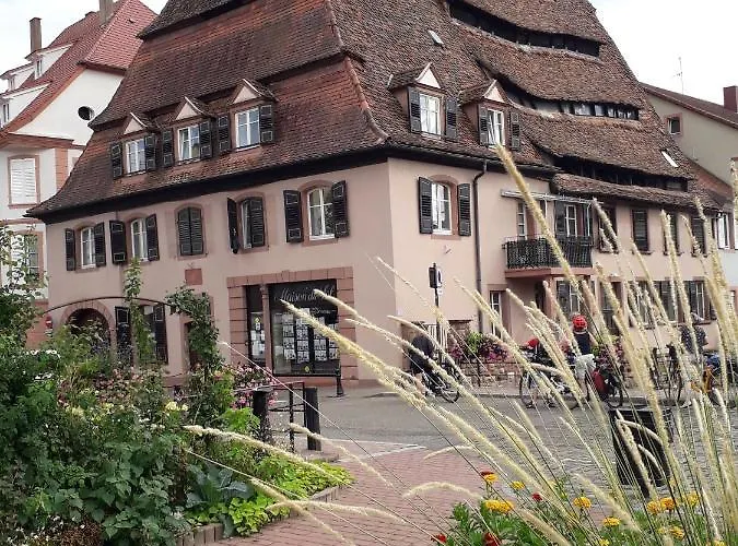 Couette-café D'hôtes Du Schneeberg