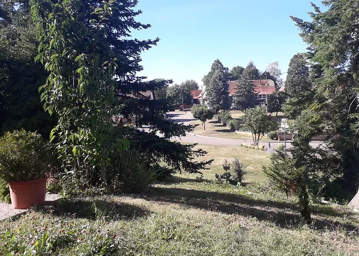 Couette-café D'hôtes Du Schneeberg 3*